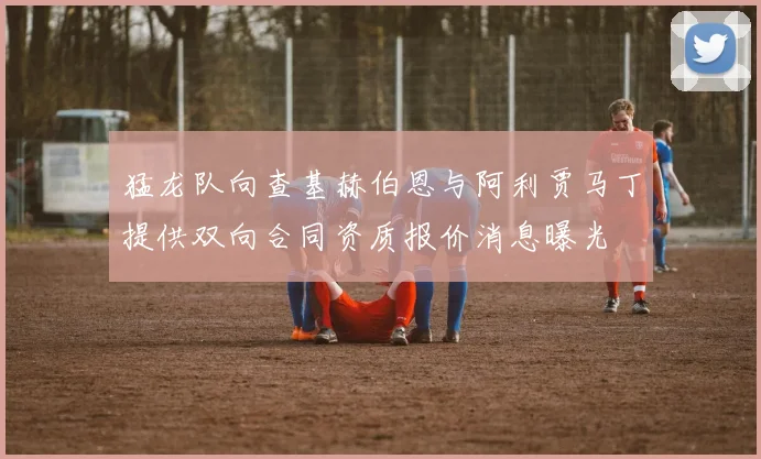 猛龙队向查基赫伯恩与阿利贾马丁提供双向合同资质报价消息曝光